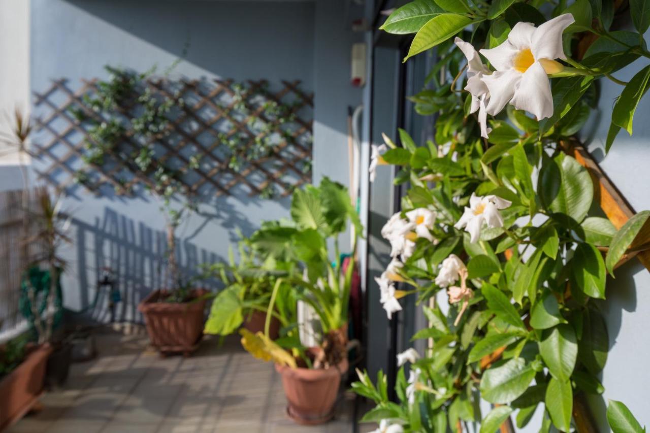 Spacious Modern Apartments With Great Rooftop View Athens Ngoại thất bức ảnh